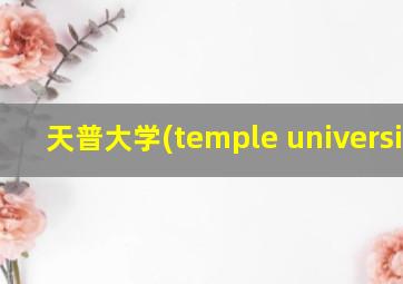 天普大学(temple university)